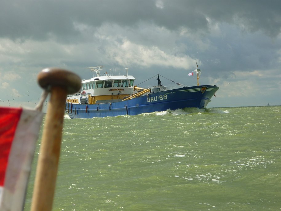 Sealiberty Cruising Waddensea Preptrip 2011