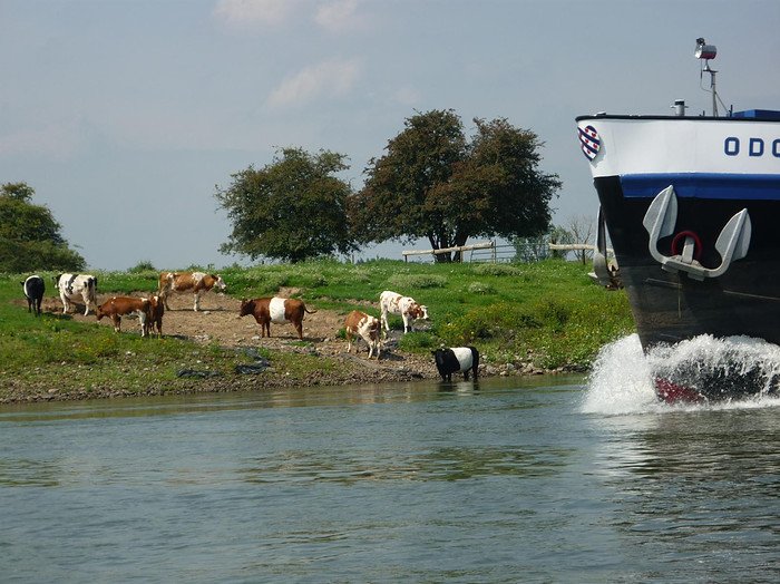 Sealiberty Cruising Running down the Ijssel river