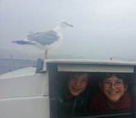 Sealiberty Cruising - Zeeland - Seagull