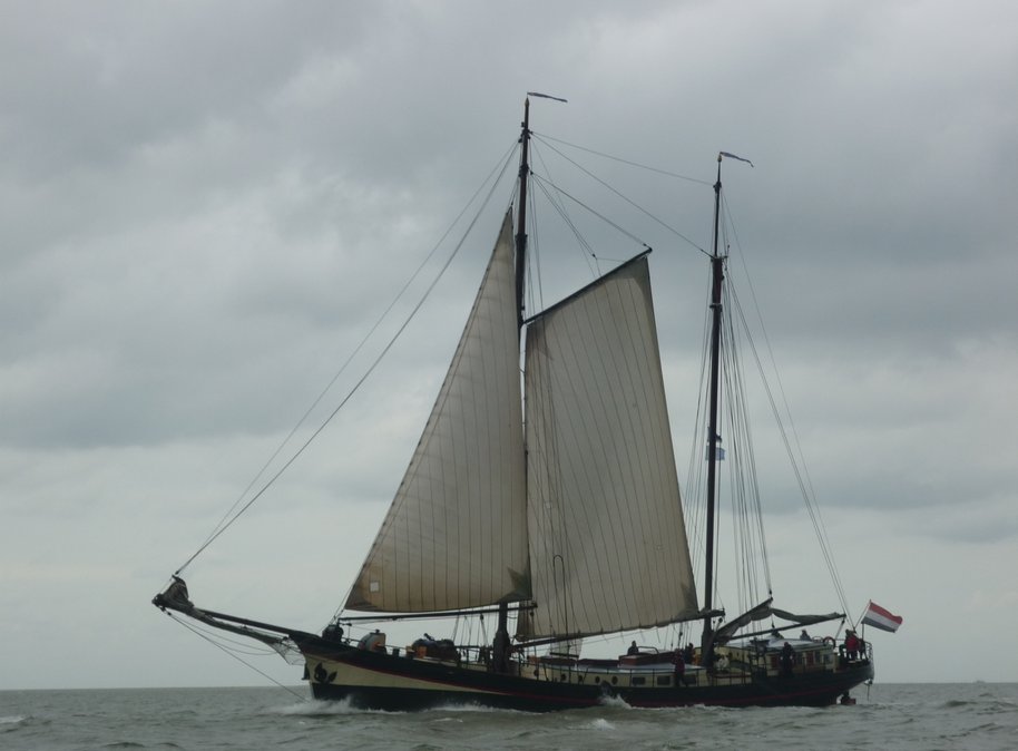 Dutch Brown Fleet @ Sealiberty Cruising