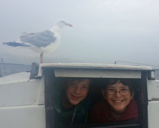Sealiberty Cruising Preptrip the Netherlands Zeeland 2013 Seagull